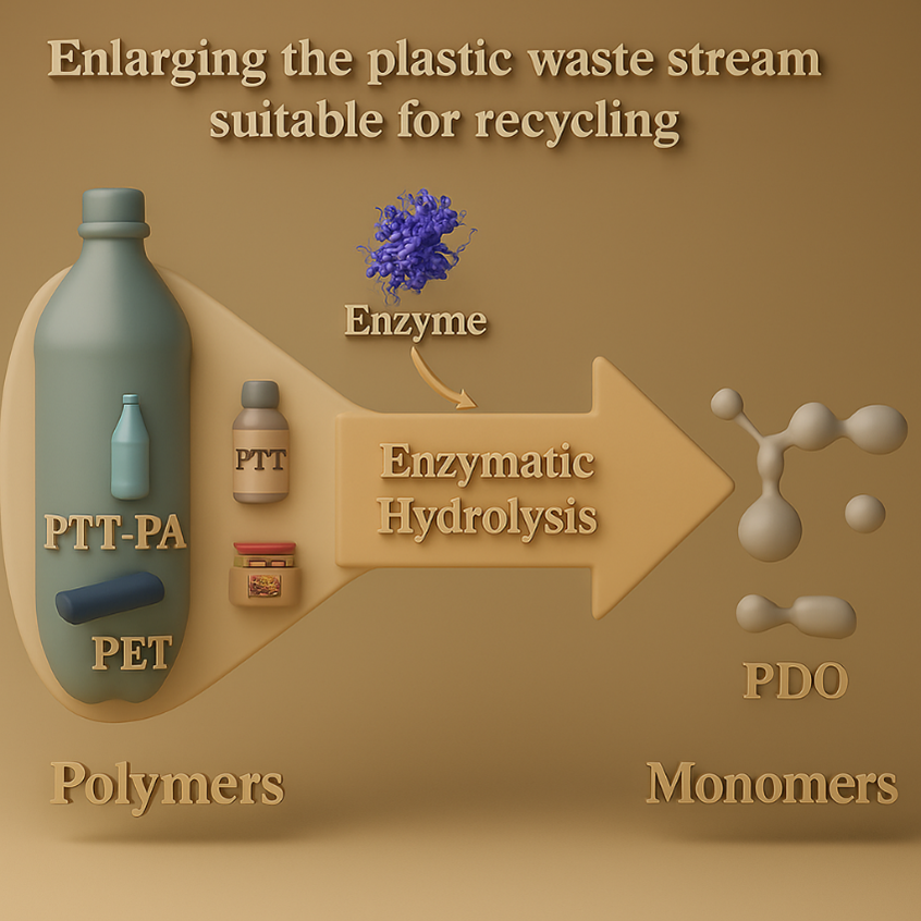 How Enzymatic Recycling Is Changing the Plastics Game - uocs.org